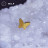 № 2500 Накрутка Butterfly Simple PVD Yellow 1.2 мм Right Metal Титан ASTM F-136
